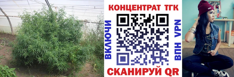 Дистиллят ТГК концентрат  Дятьково 
