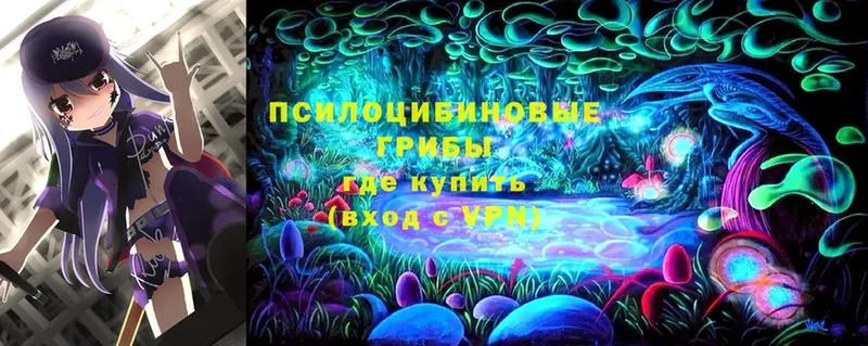 Галлюциногенные грибы Psilocybe  hydra ССЫЛКА  Дятьково 