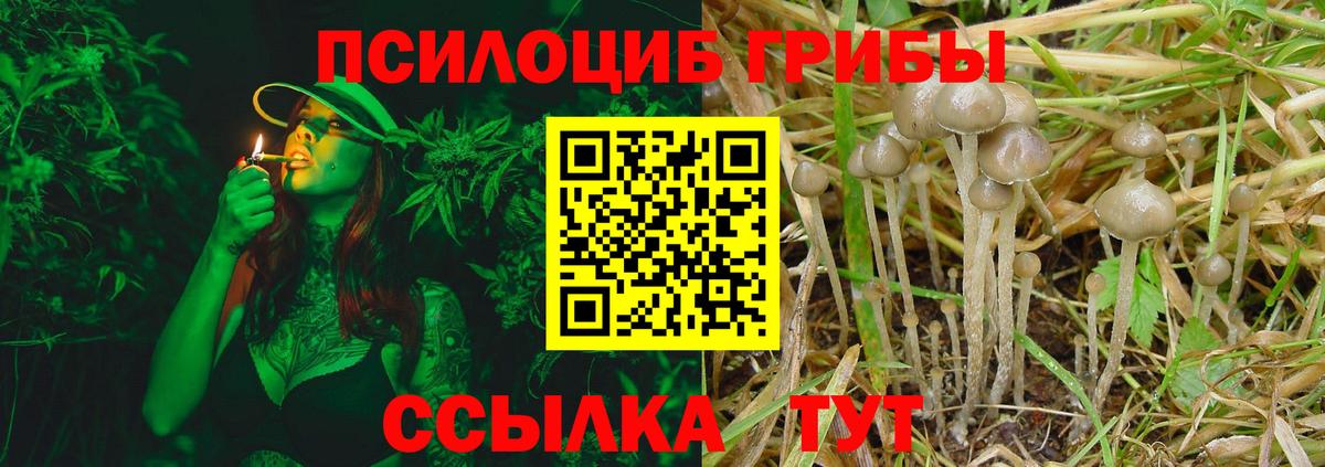 Псилоцибиновые грибы GOLDEN TEACHER Дятьково