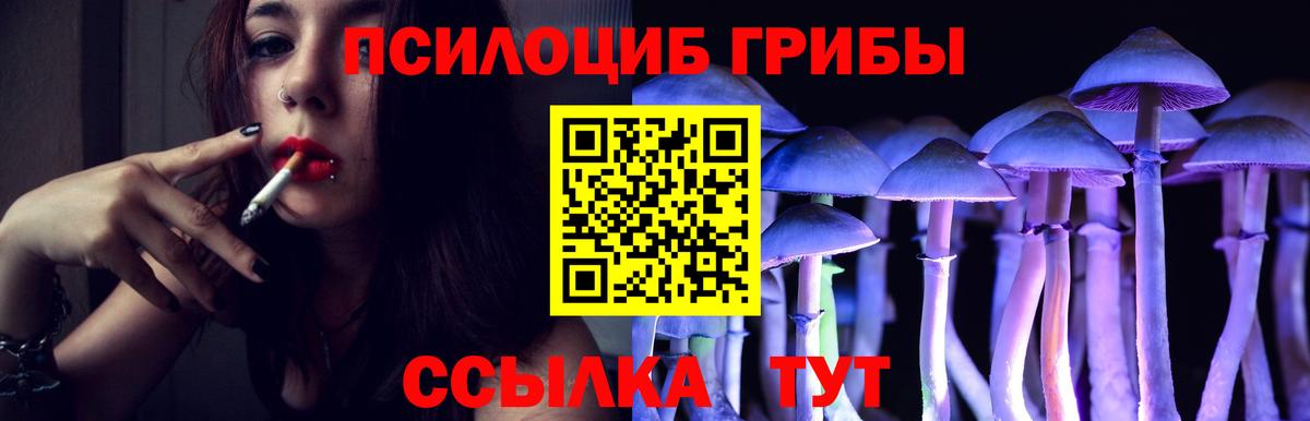 ГАШИШ Дятьково